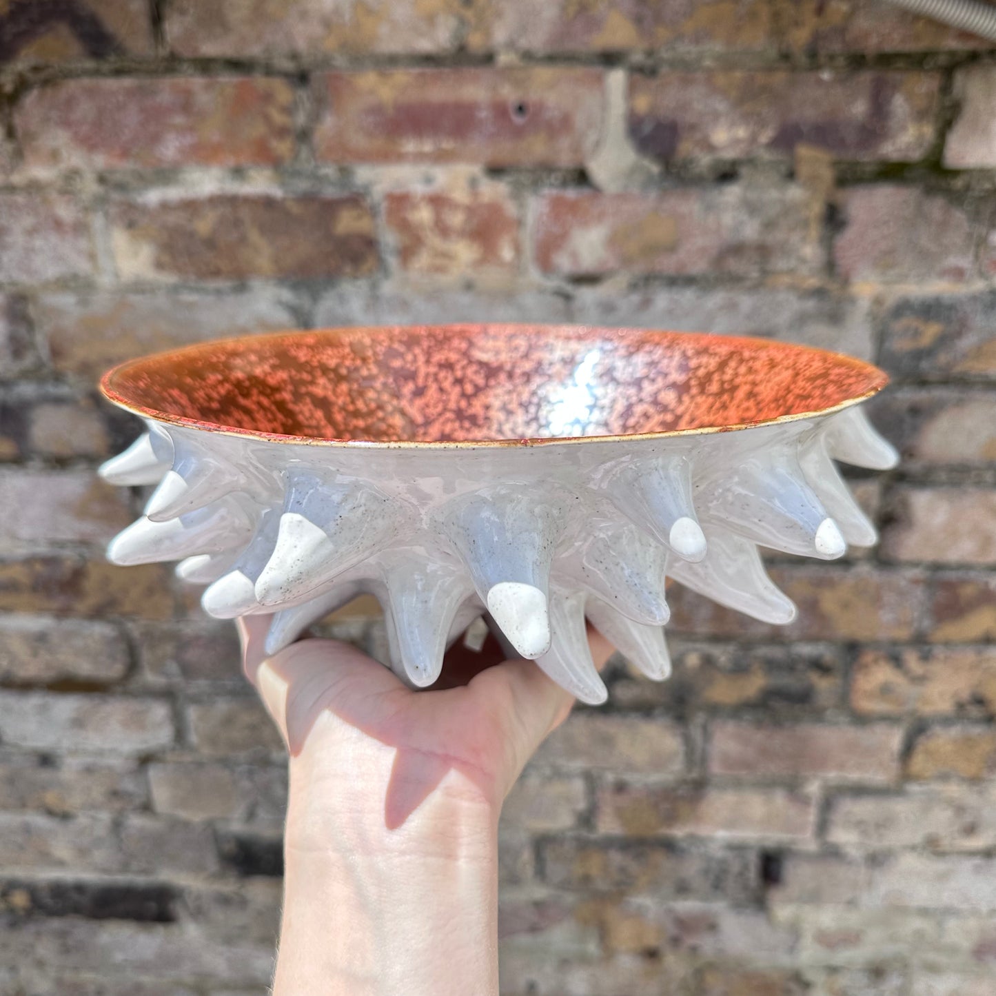 Bowl (Spikey)