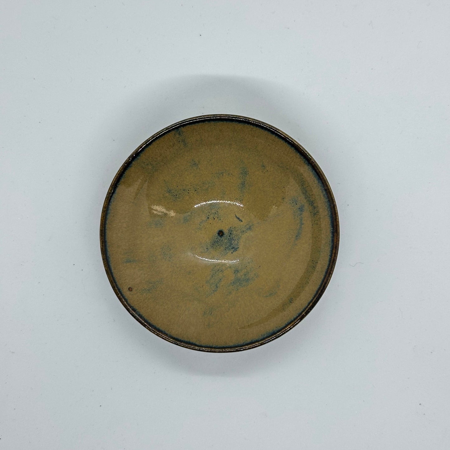 Dish