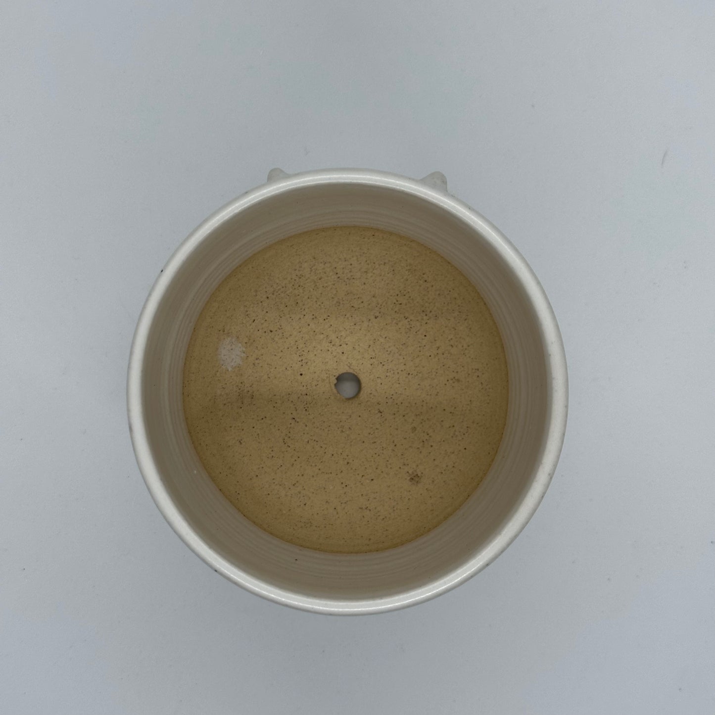 Plant Pot (Boobs)