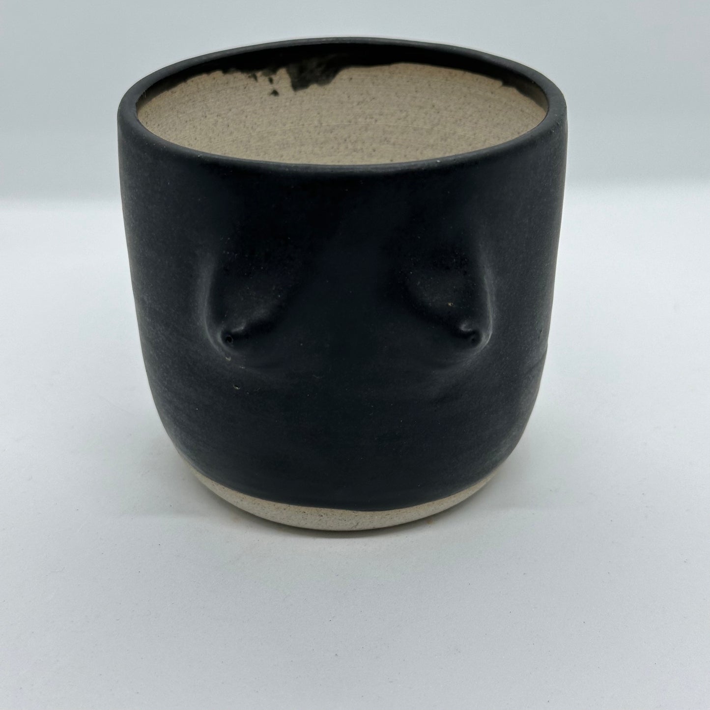 Plant Pot (Boobs)