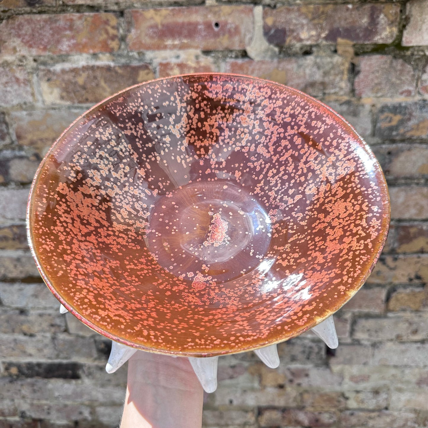 Bowl (Spikey)