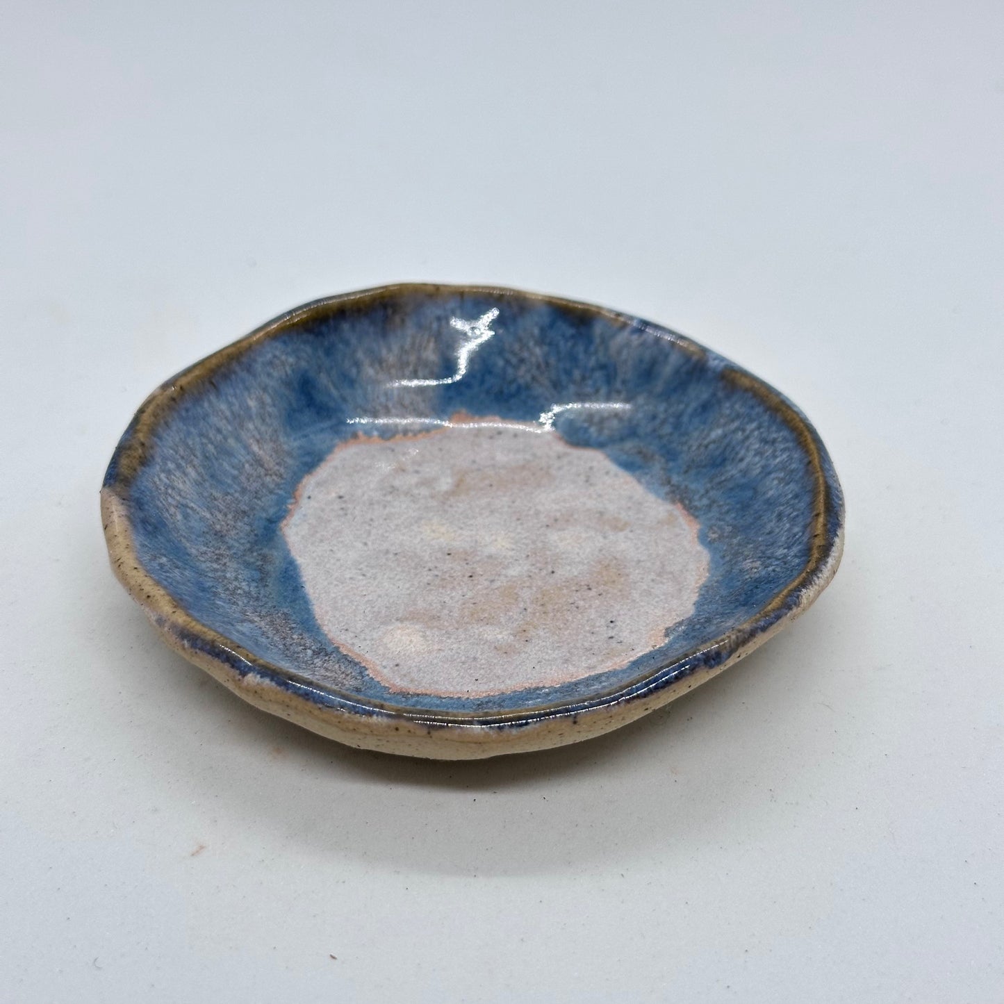 Dish