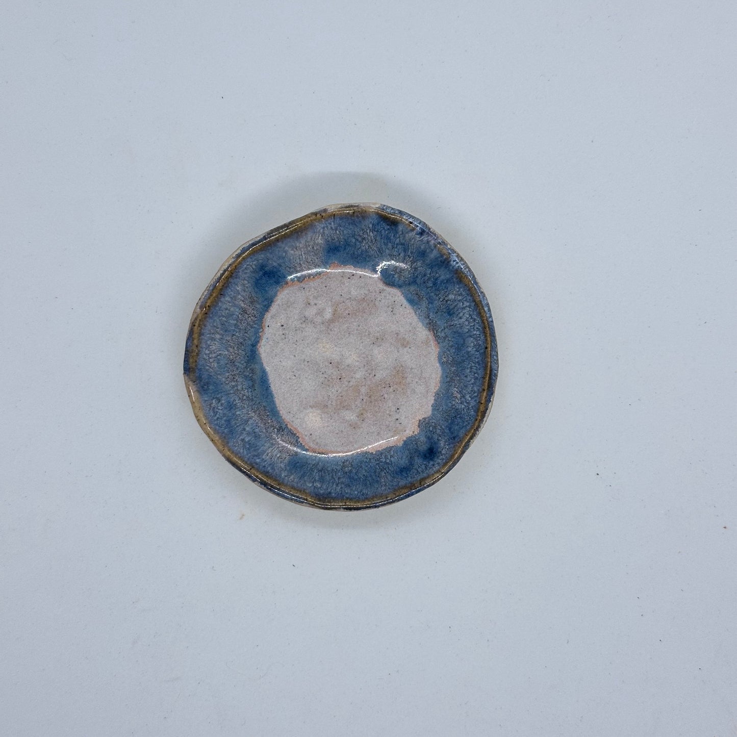 Dish